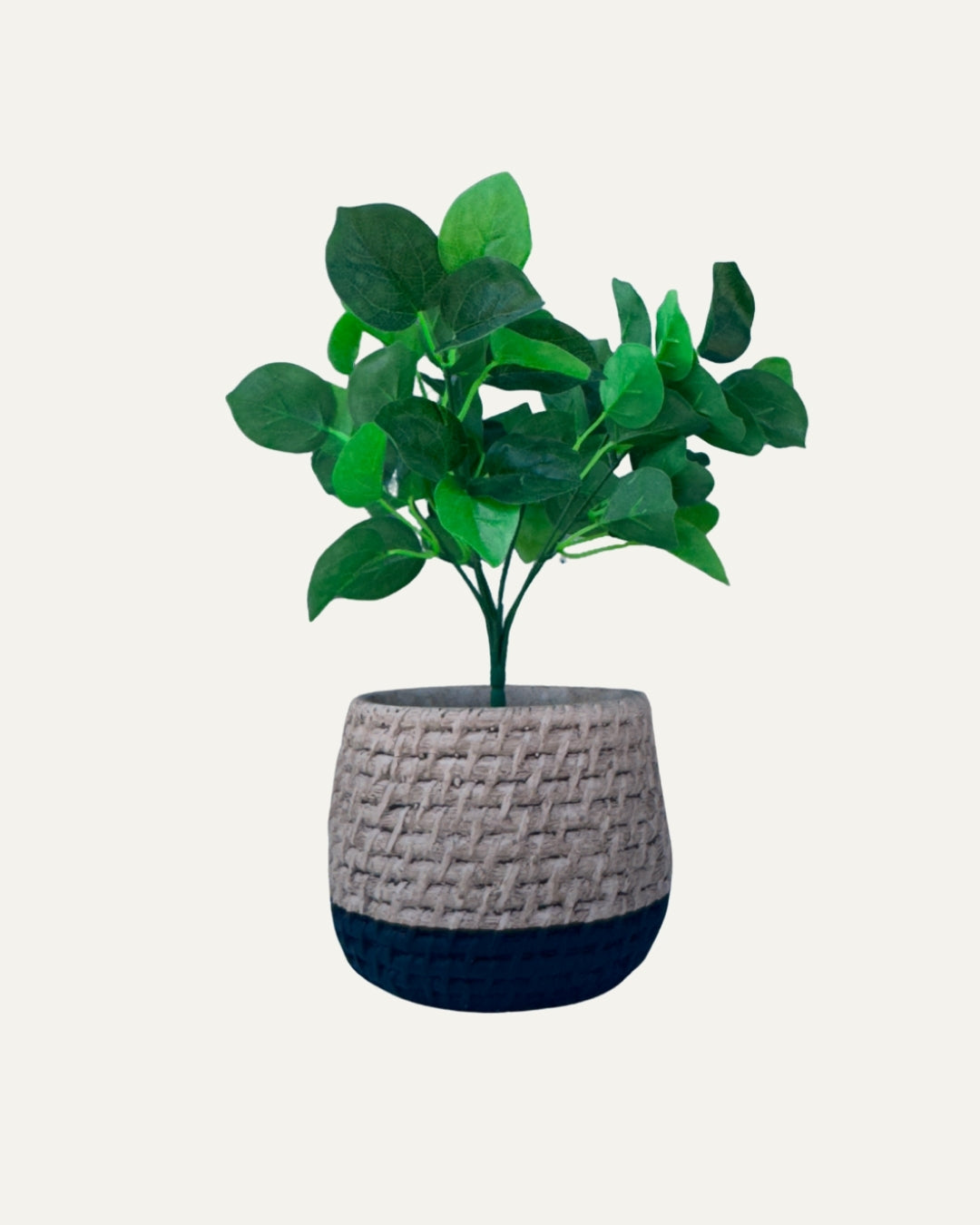 Macetero bicolor con textura trenzada - Ébano