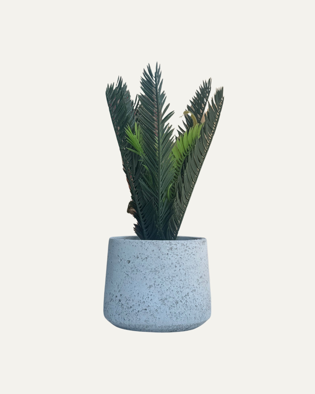 Macetero blanco con textura porosa - Cádiz