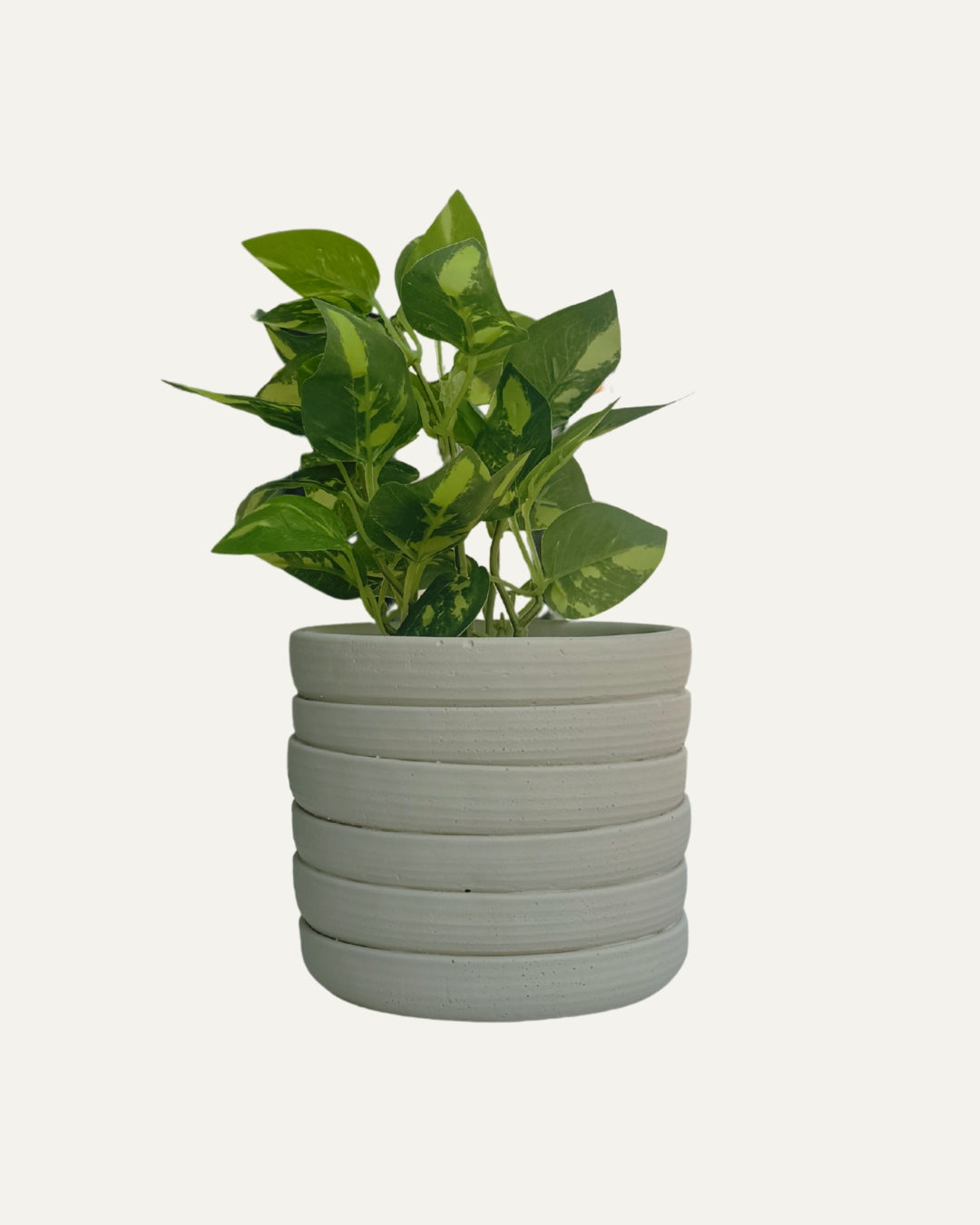 Macetero de Cerámica color marfil con relieve anillado - Cascada