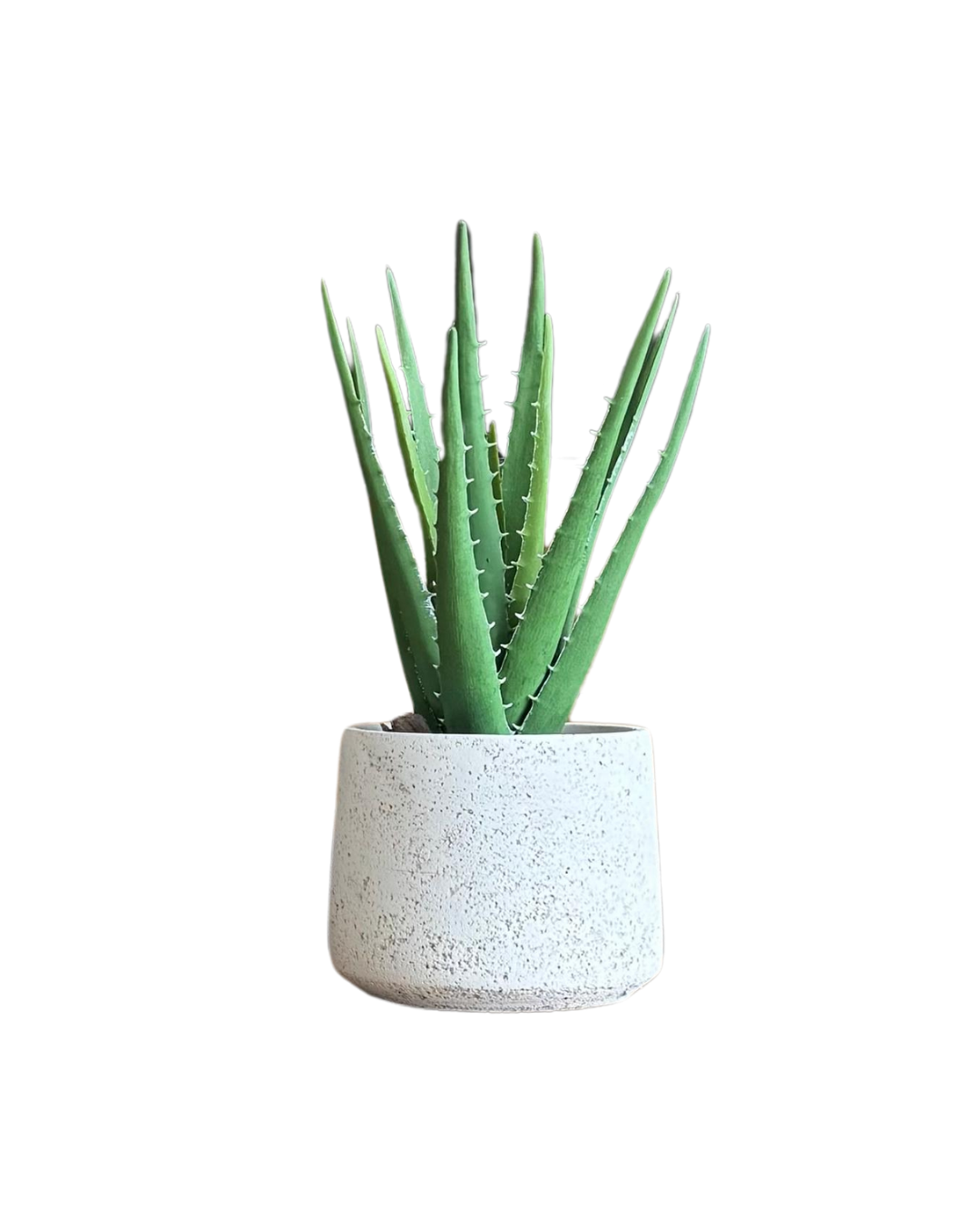 Macetero de cerámica blanco con textura porosa