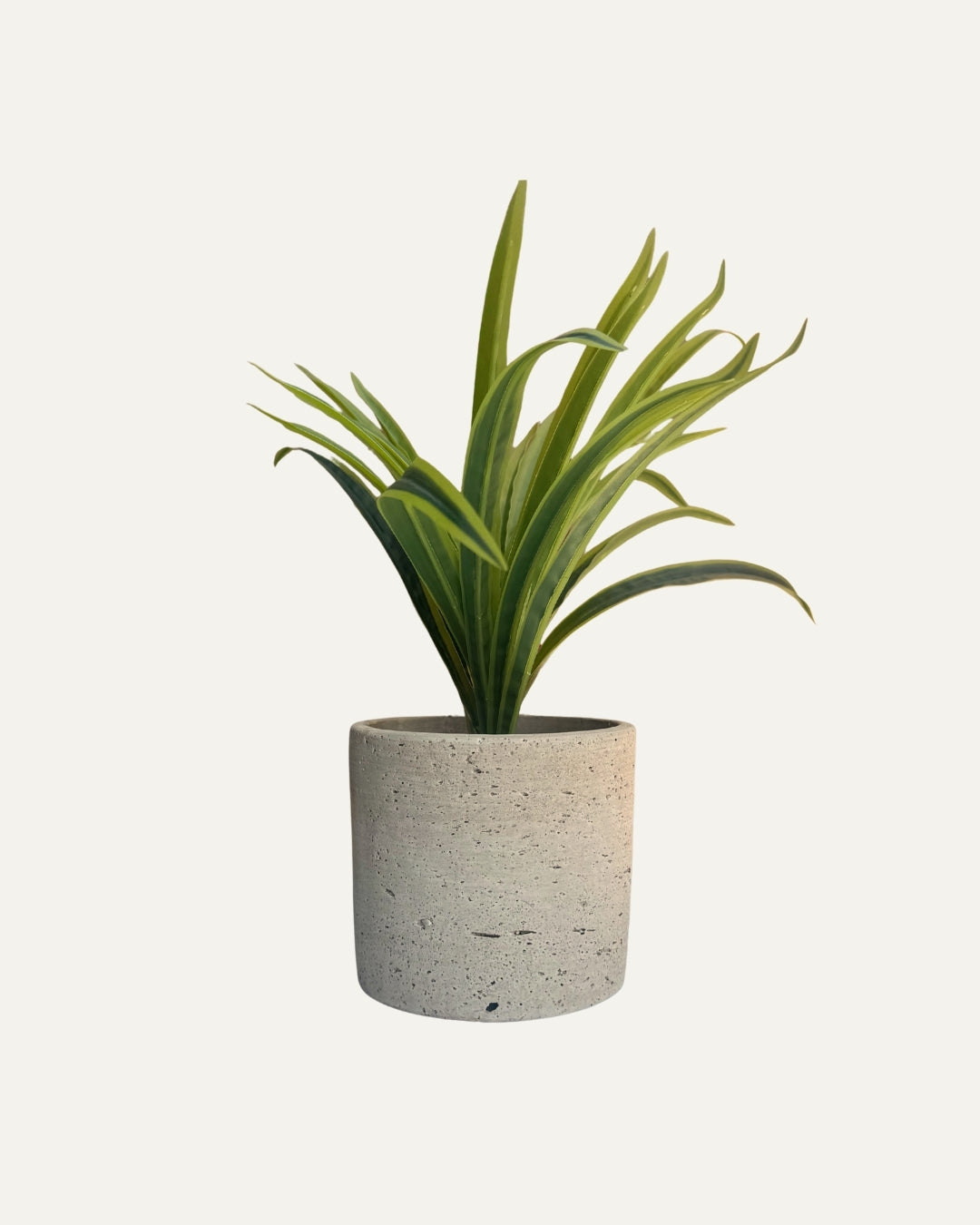 Macetero crema con textura porosa - Cusco