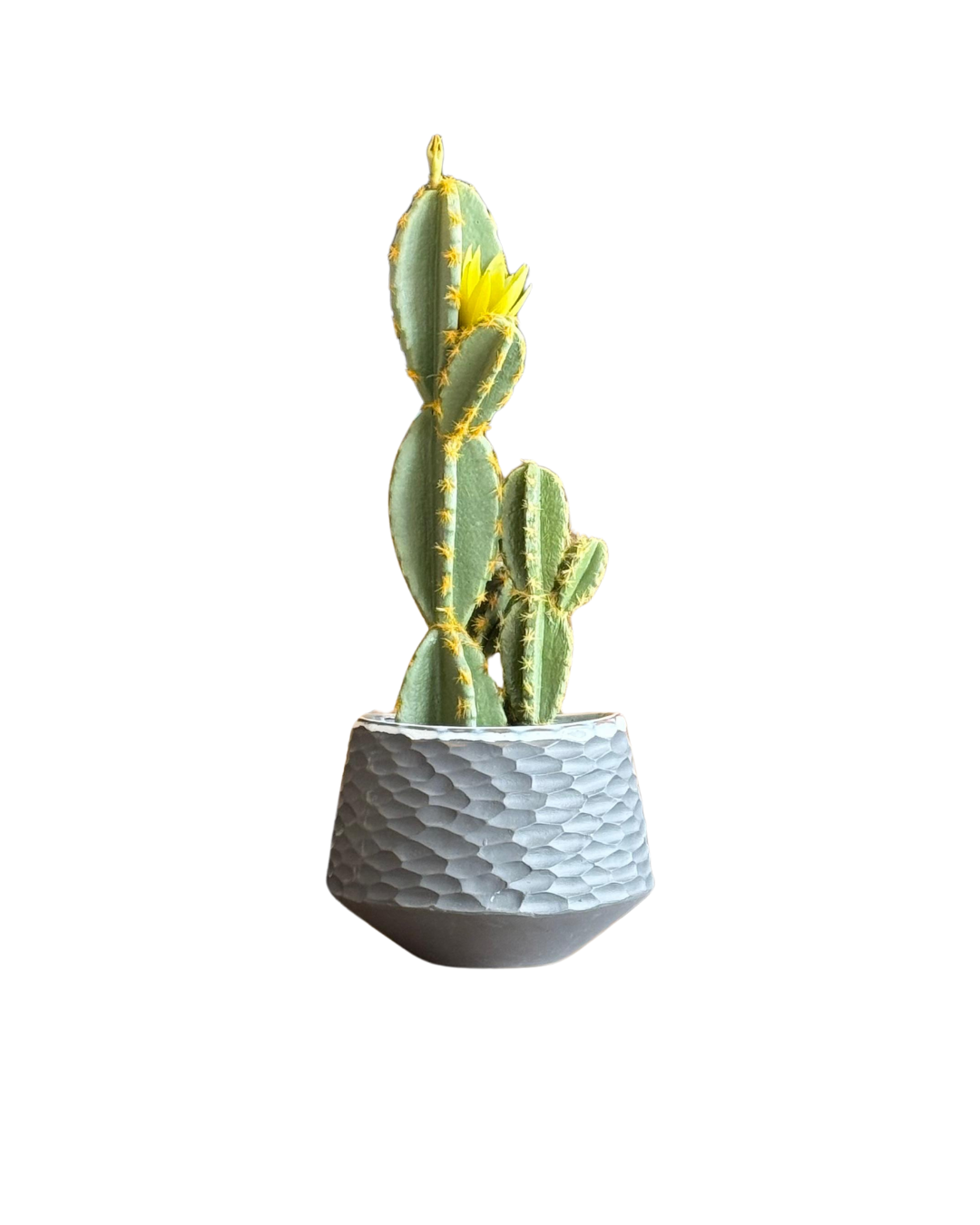 Macetero gris ocuro con textura tipo panal