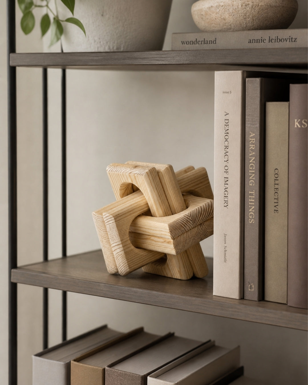 Andromeda - Nudo decorativo de madera