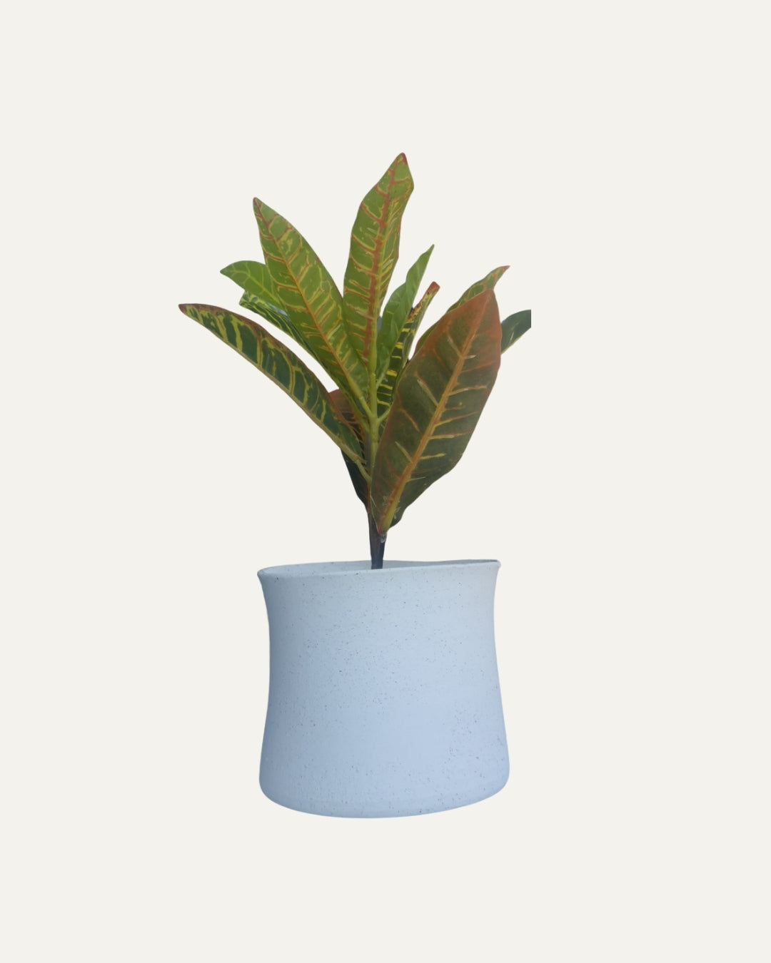 Macetero con silueta curva - Praga