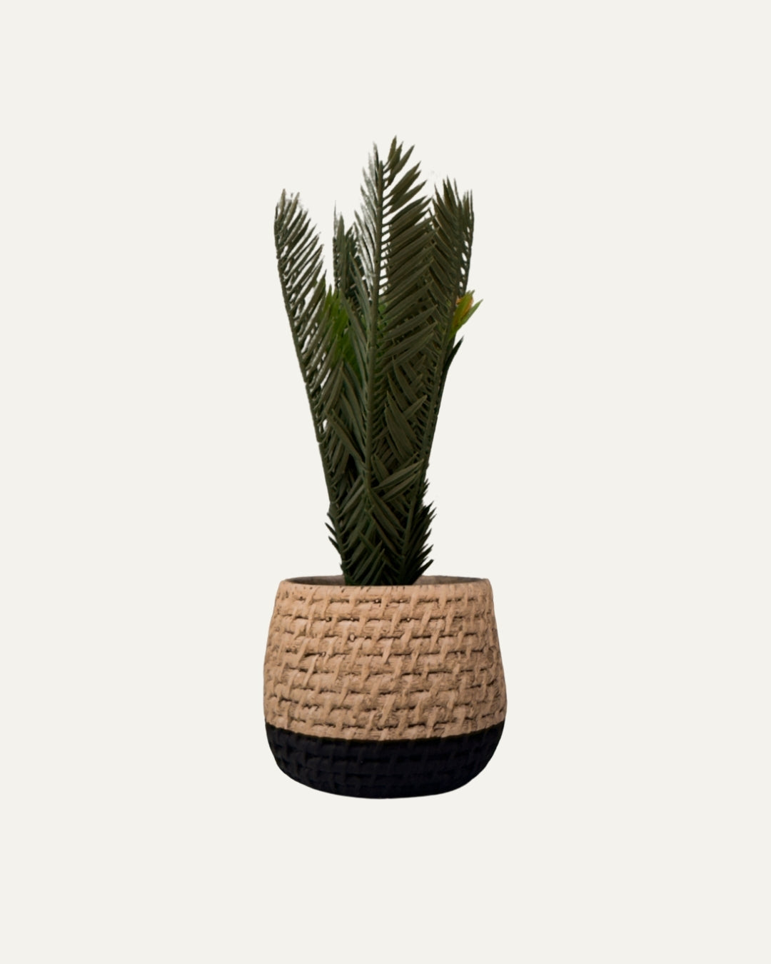 Macetero bicolor con textura trenzada - Ébano