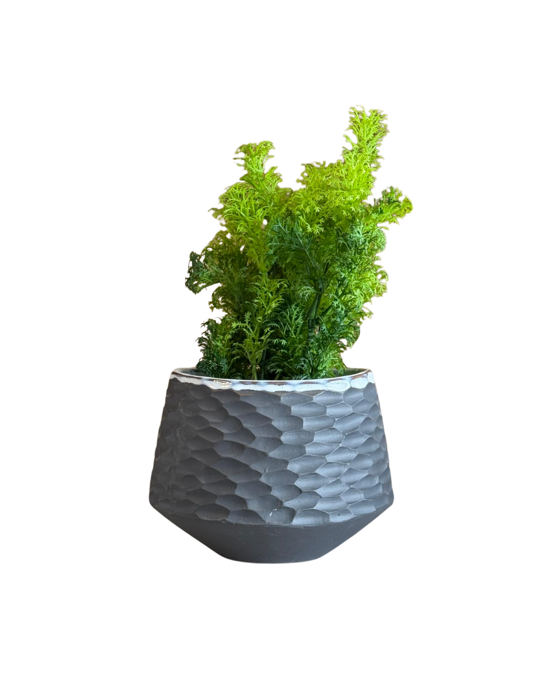 Macetero gris ocuro con textura tipo panal