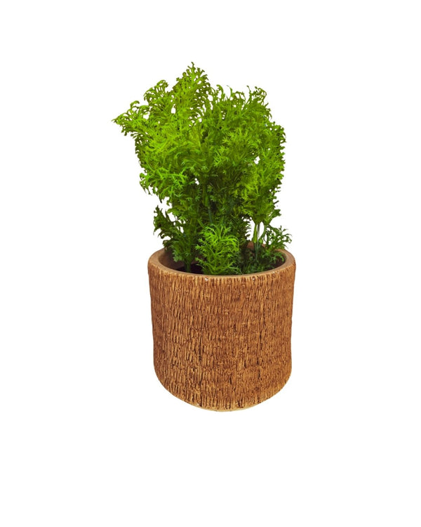 Boston – 9.06" Faux Plant with Decorative Planter