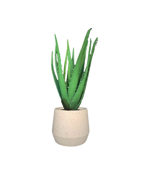 Aloe Vera – 13.78" Faux Plant with Decorative Planter