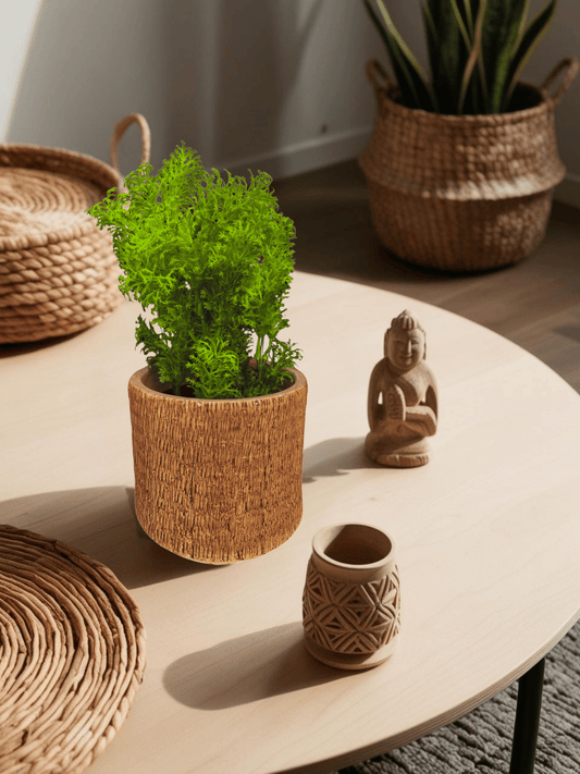Boston – 9.06" Faux Plant with Decorative Planter