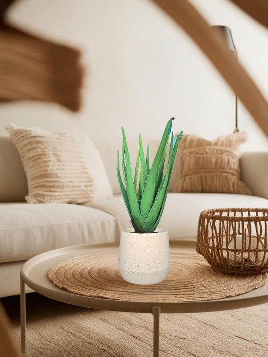 Aloe Vera – 13.78" Faux Plant with Decorative Planter