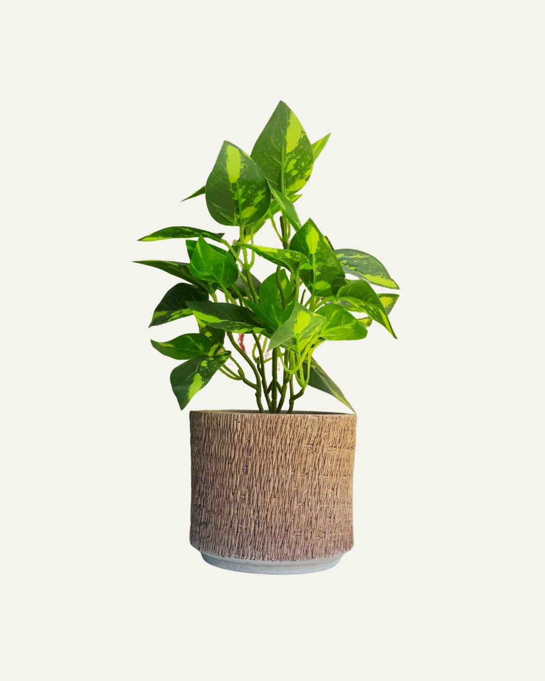 Macetero de cerámica con textura tejida - Vimini