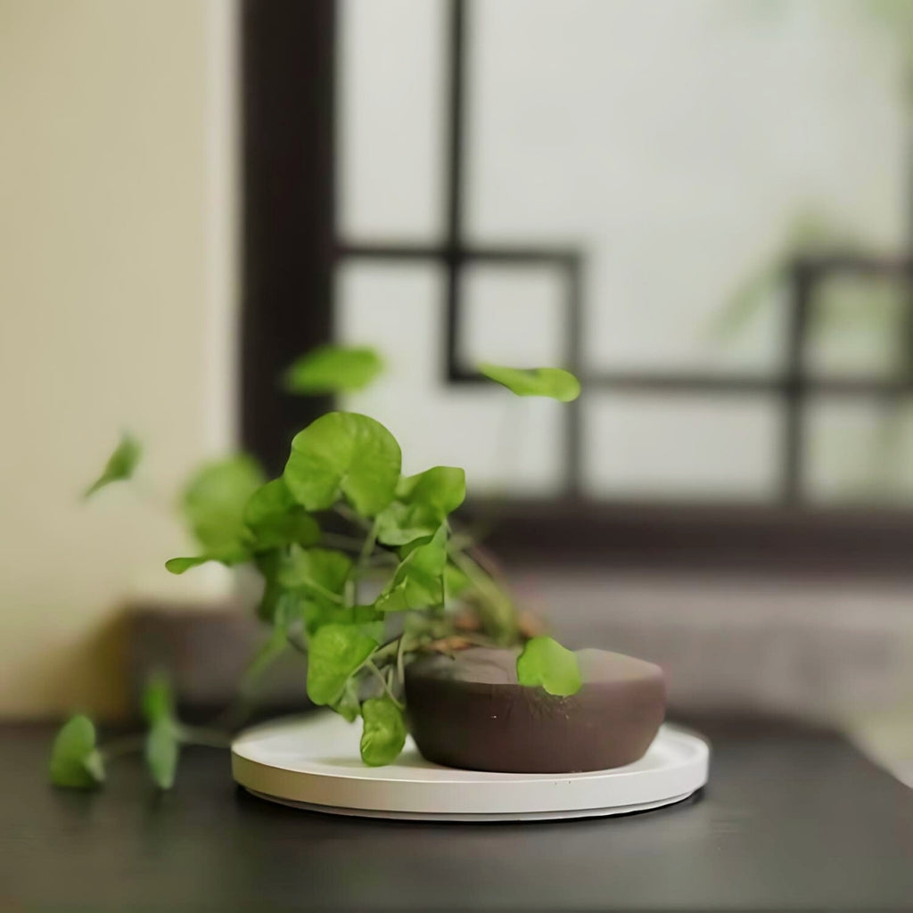 Round white nordic minimalist tray.